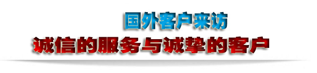 國(guó)外客戶(hù)來(lái)訪(fǎng)-2。。.jpg